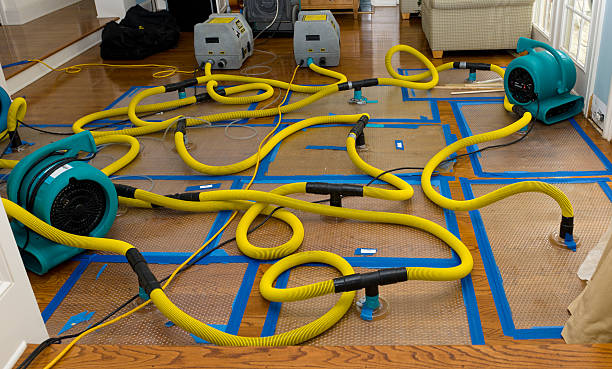 Professional Emergency Water Removal technician working in Kansas, AL